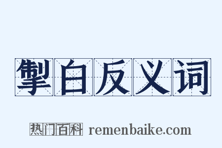 掣白反义词是什么意思的图片